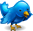 Follow Us